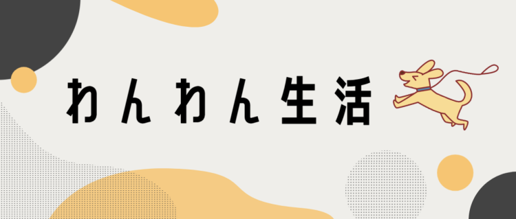 カワイイがいっぱい！ワンダーランド